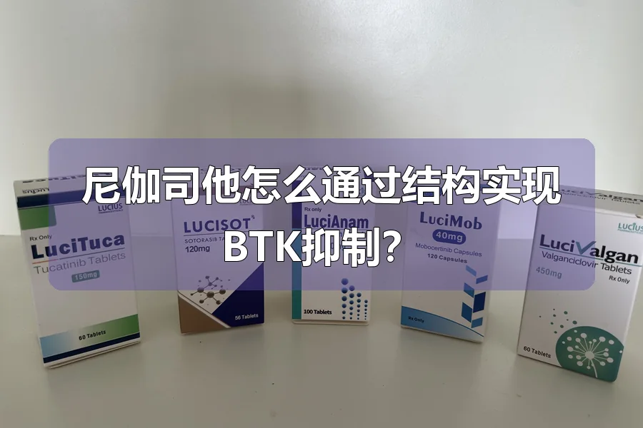 尼伽司他怎么通过结构实现BTK抑制？