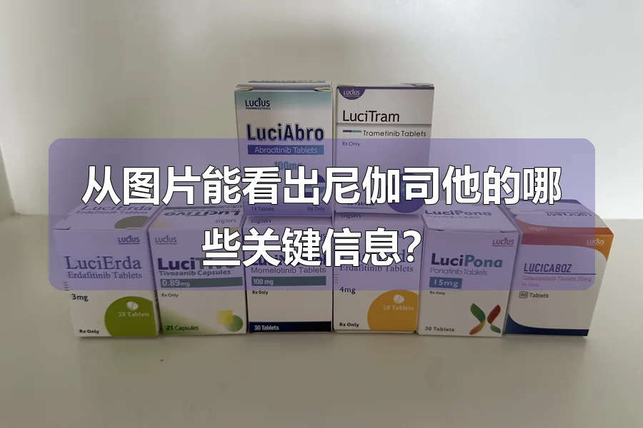 从图片能看出尼伽司他的哪些关键信息?